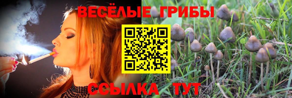 где найти   Вход с VPN  Псилоцибиновые грибы прущие грибы  Киров  Псилоцибиновые грибы ЛСД 